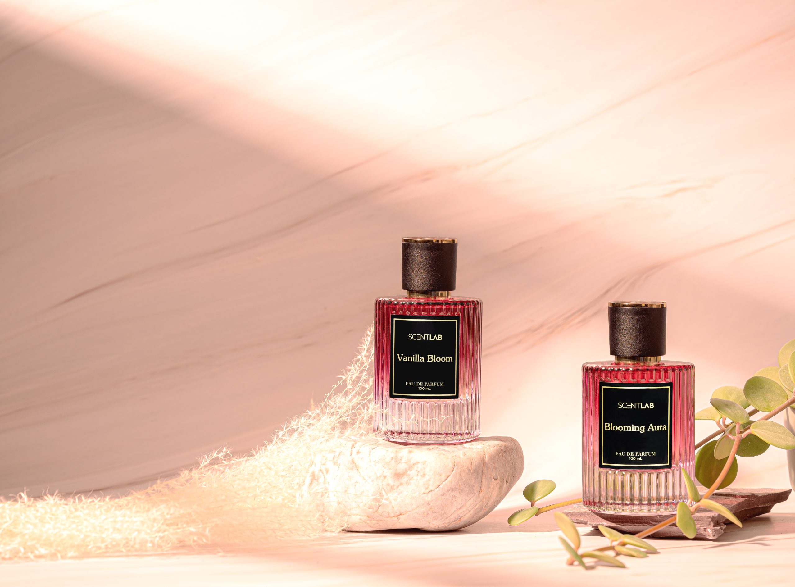 Two bottles of women's perfume, each sitting on a different rock, set against a marble-like background. There is bright light coming from the left and above. Professional product photography created by Ottawa commercial photographer Seb Duper.