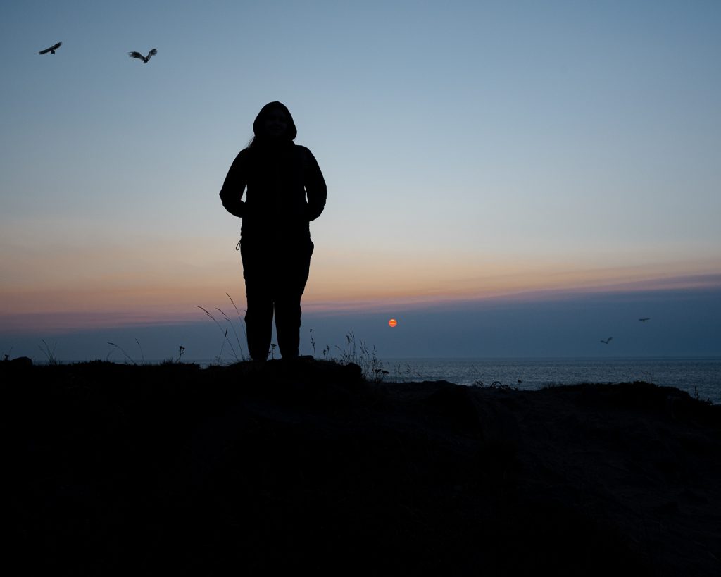 Silhouette of a person standing on a cliff overlooking the Atlantic Ocean, with the sun rising in the distance. Two birds are flying across the image.